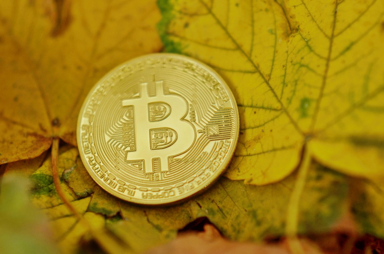 Movement针对最近异常的做市商行为展开内部调查！联合创始人暂时休假